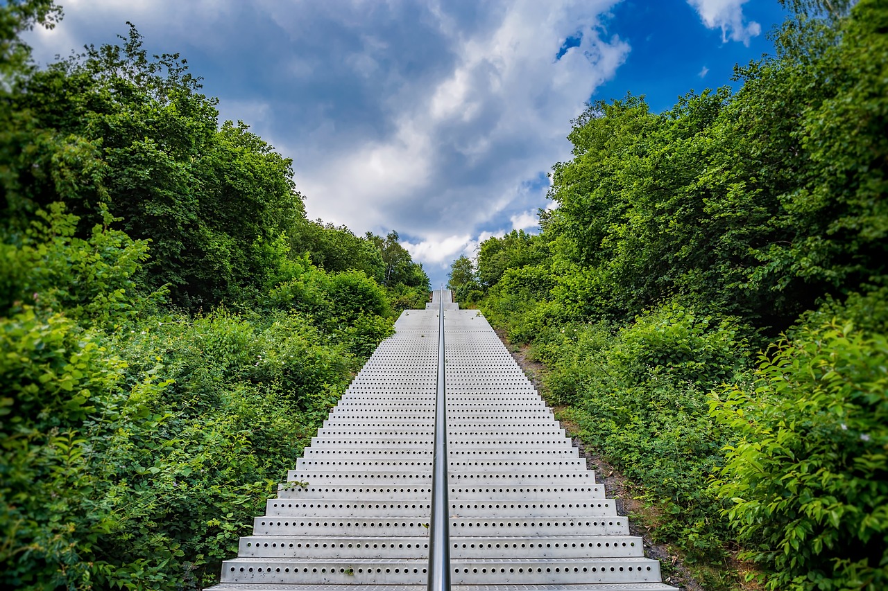 stairs  park  nature free photo