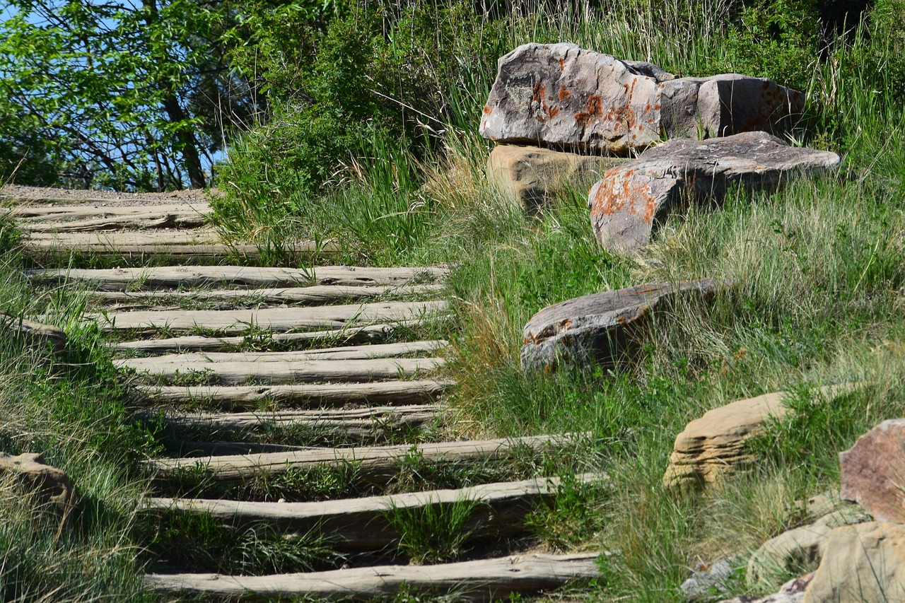 stairs  trails  hiking free photo