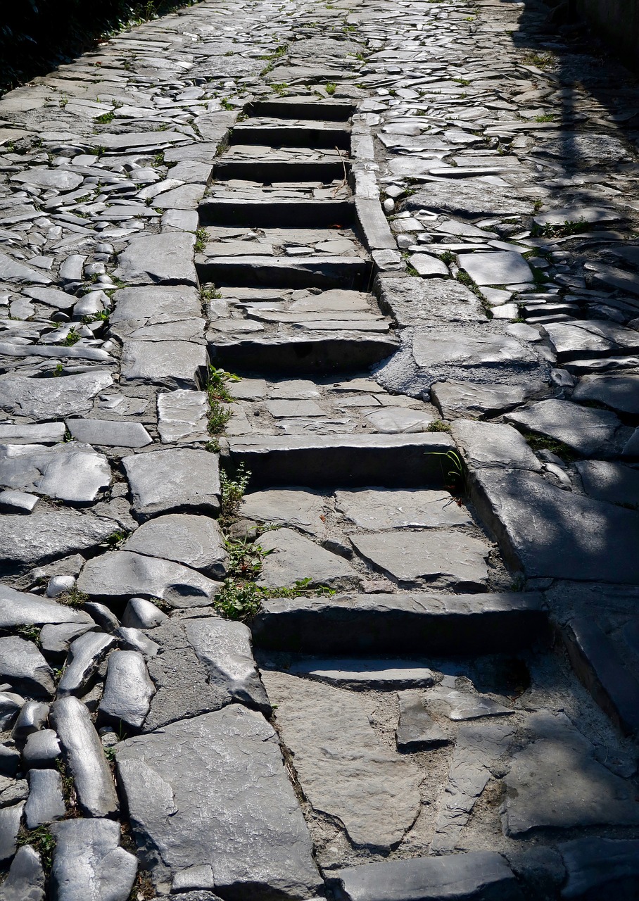 stairs  gradually  emergence free photo