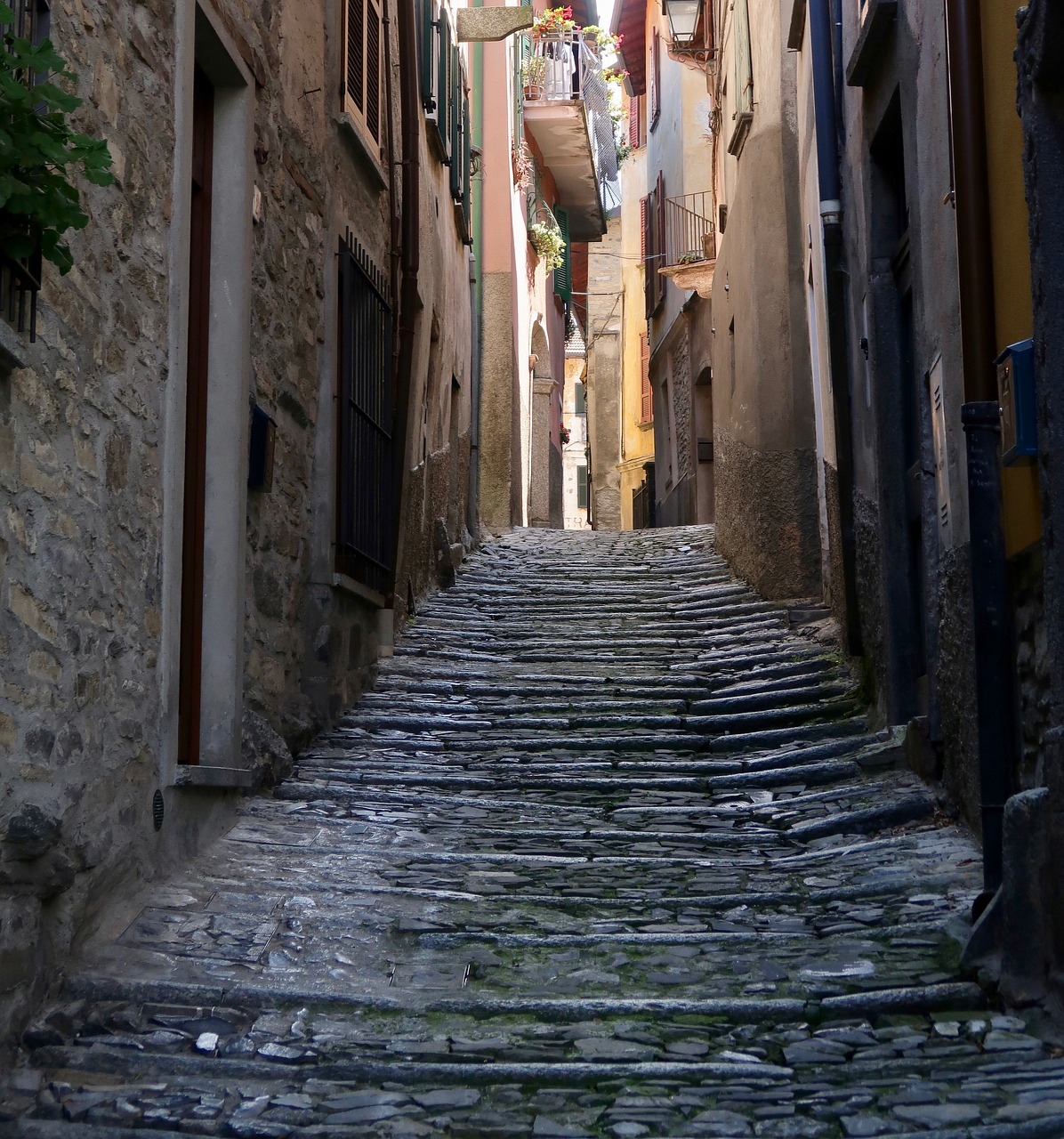 stairs  gradually  emergence free photo