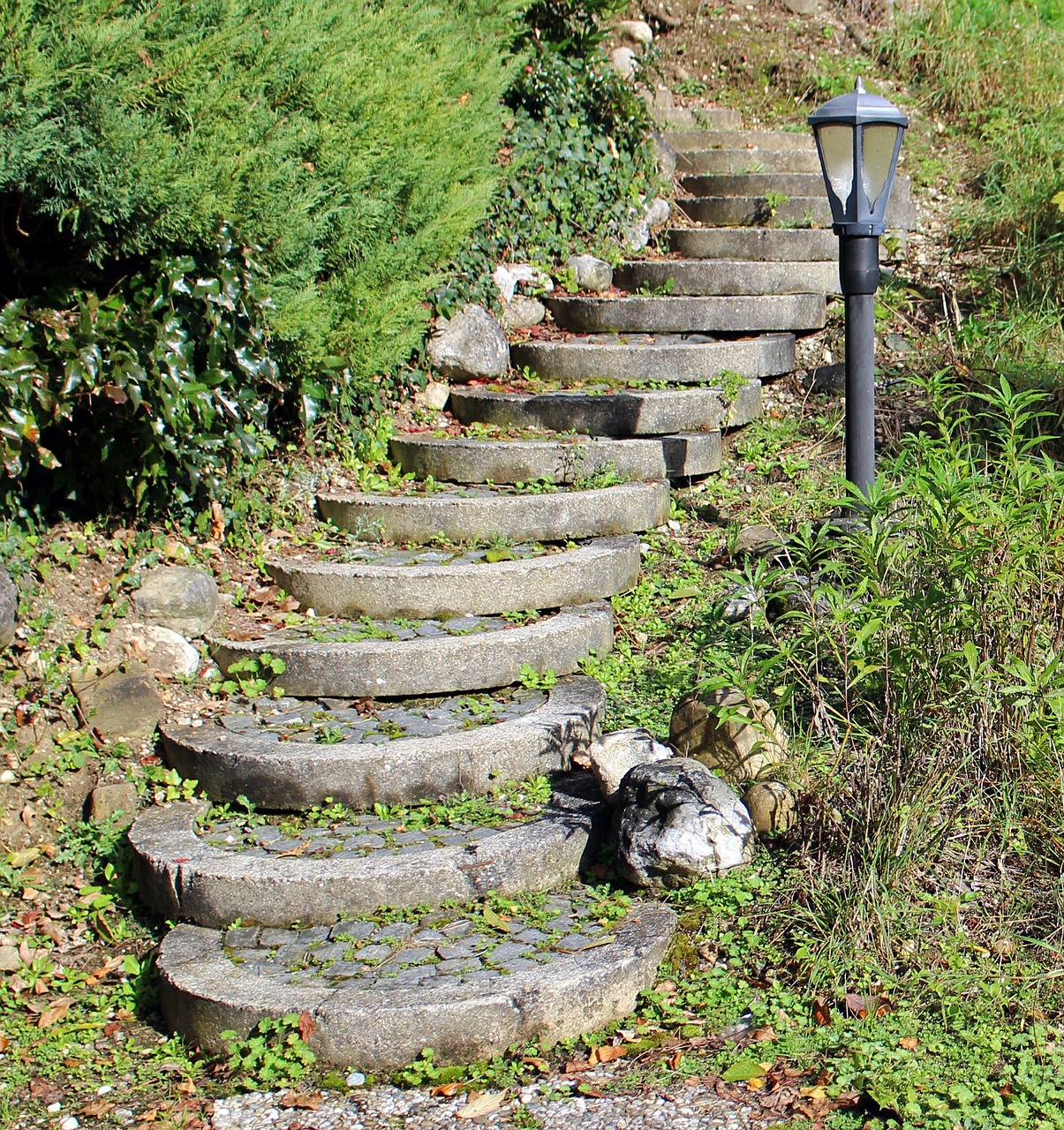 stairs gradually emergence free photo