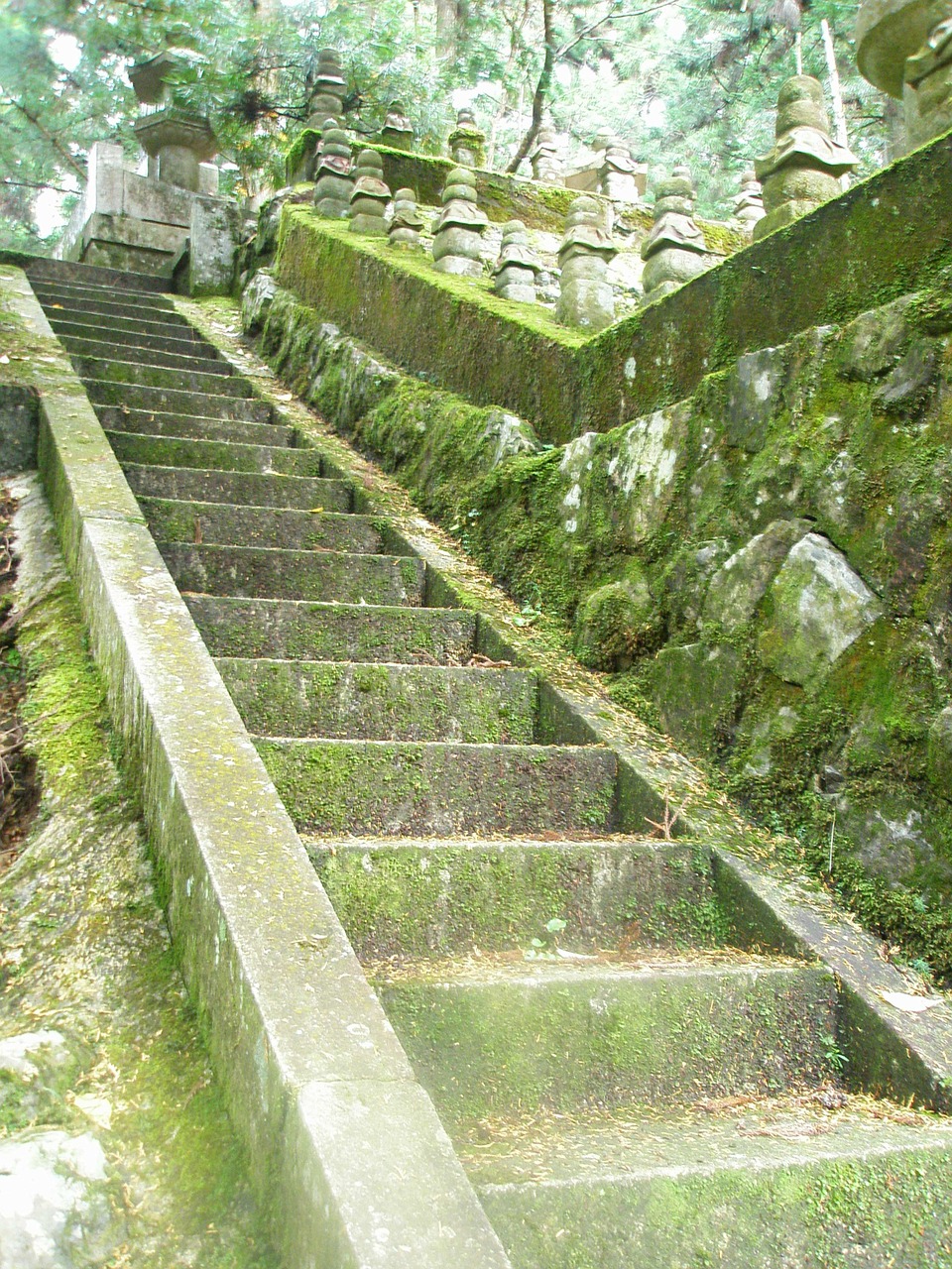 stairs moss green free photo