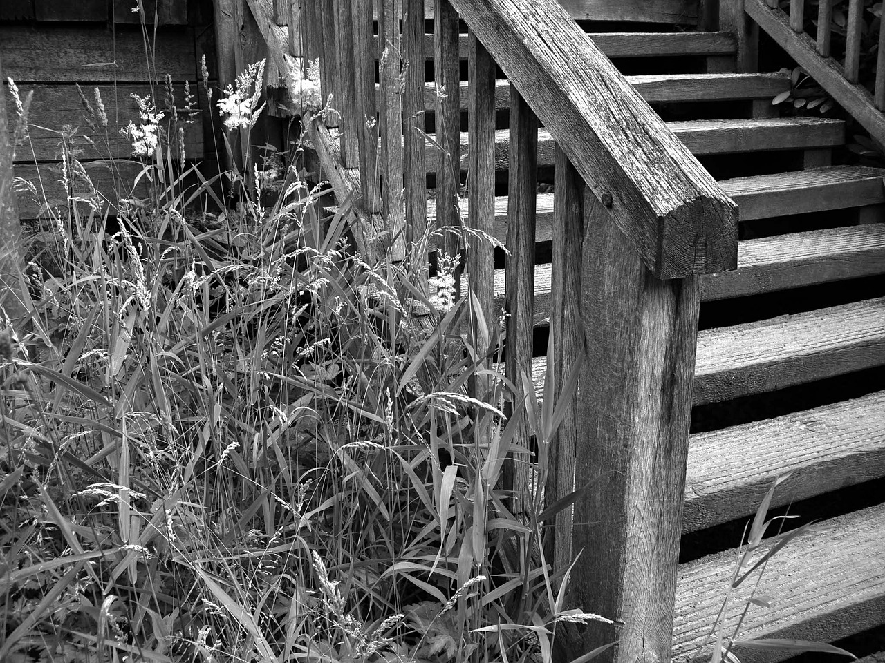 stairs gradually black white free photo