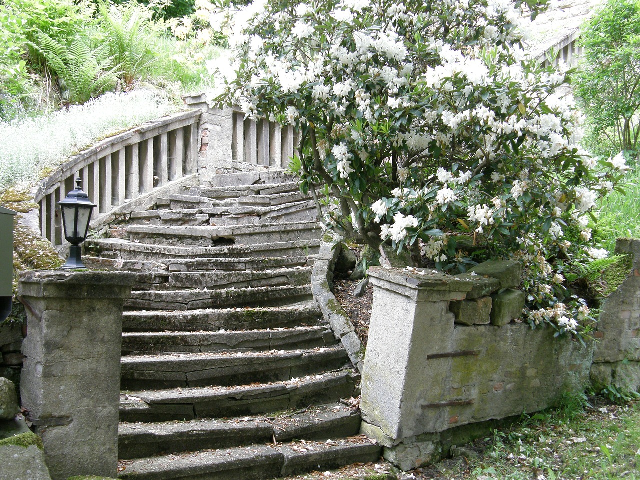 stairs lapsed white free photo