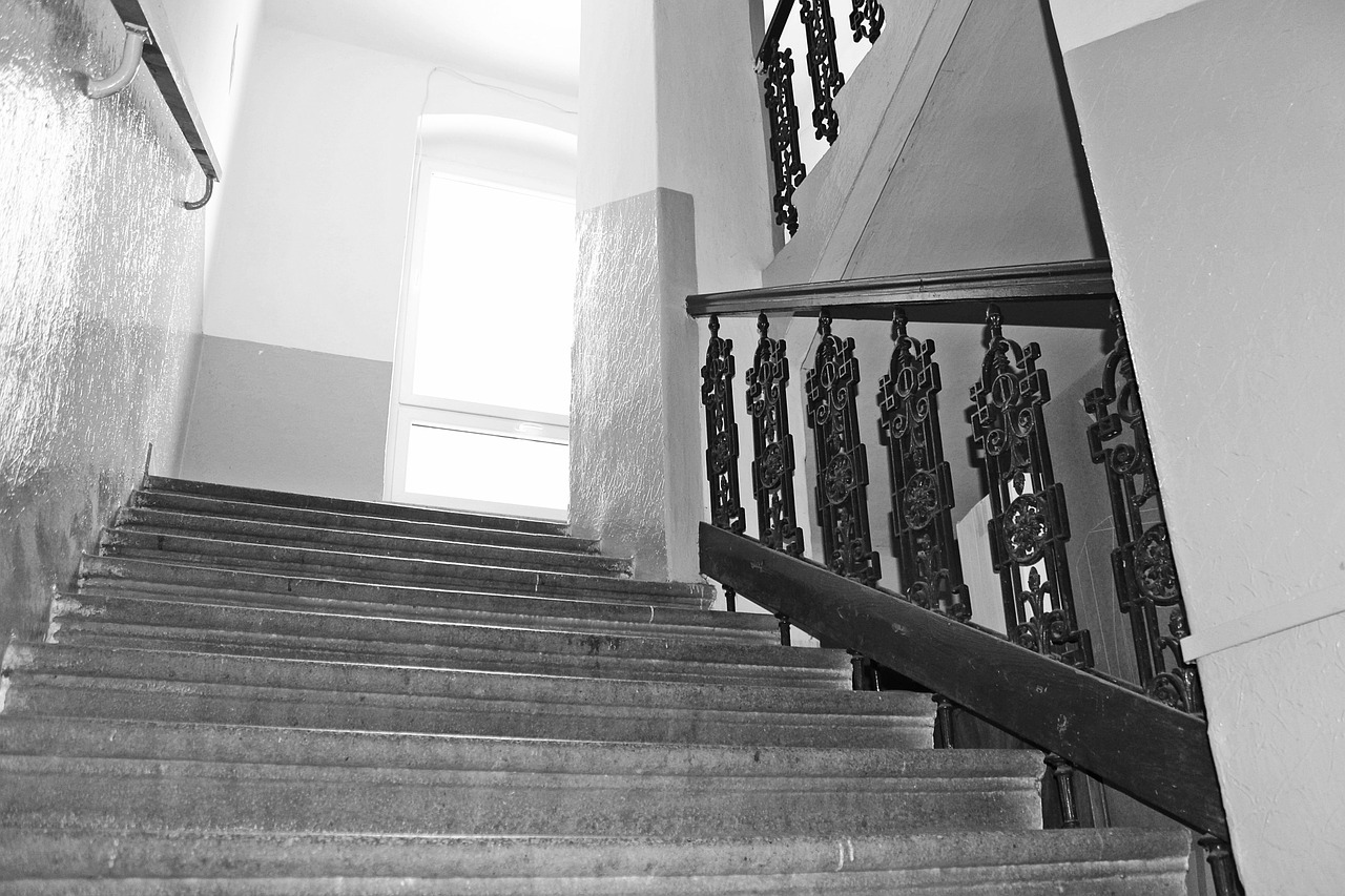 stairs railing black and white free photo