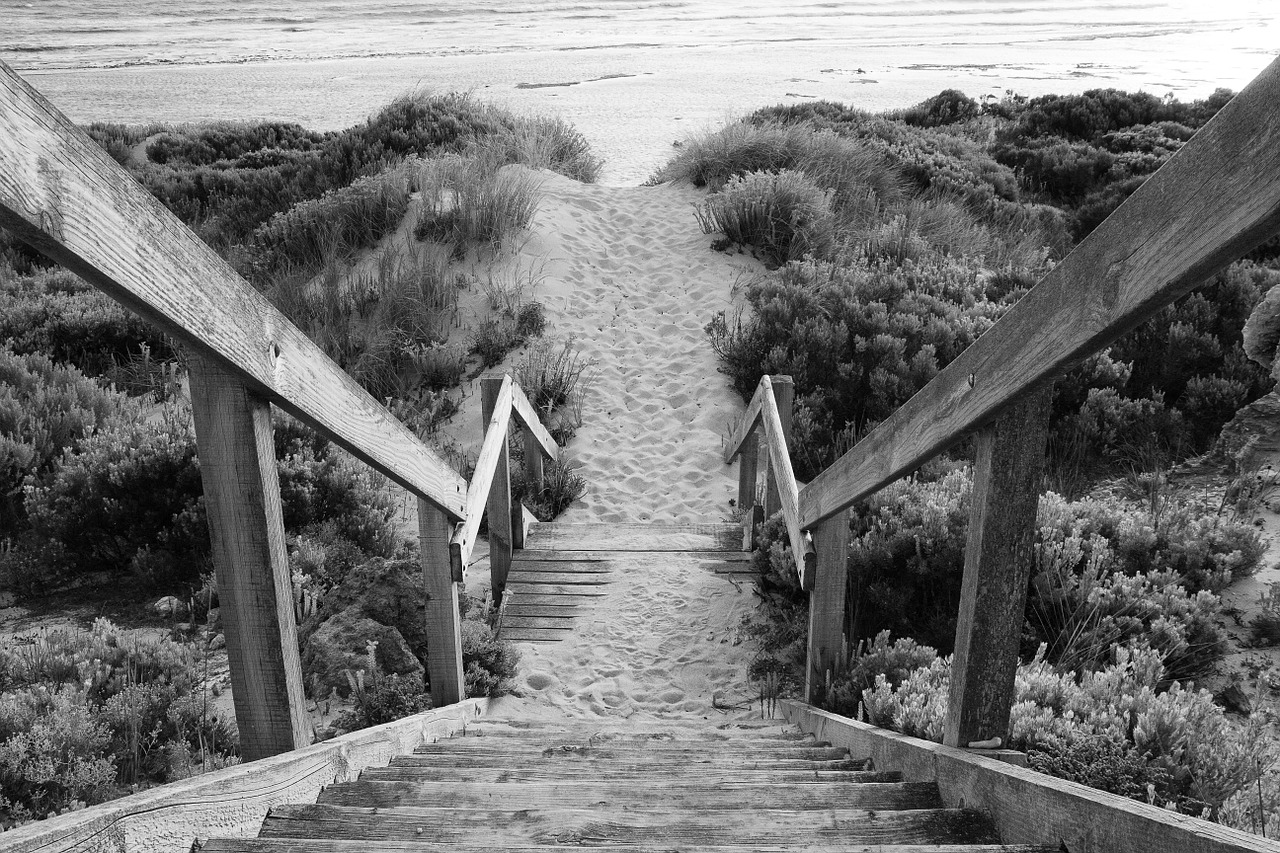 stairs beach travel free photo