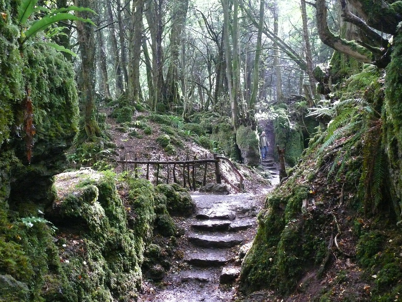 stairs forest mystical free photo