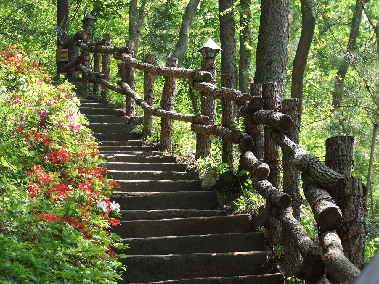 stairs woodland stairs wooden stairs free photo