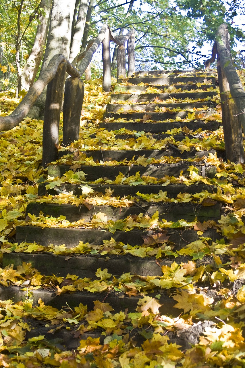 stairs way high free photo