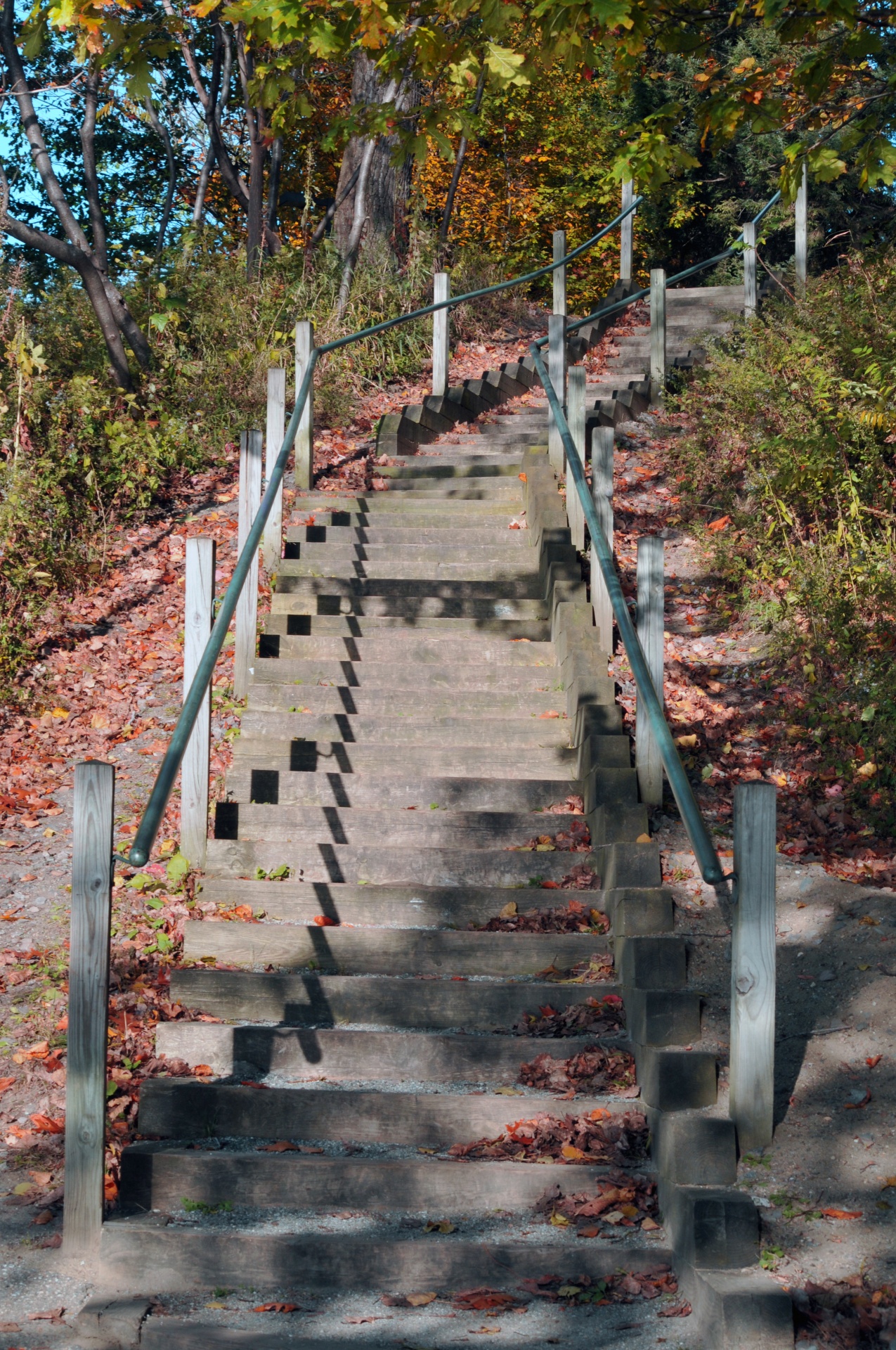 stairs fall autumn free photo