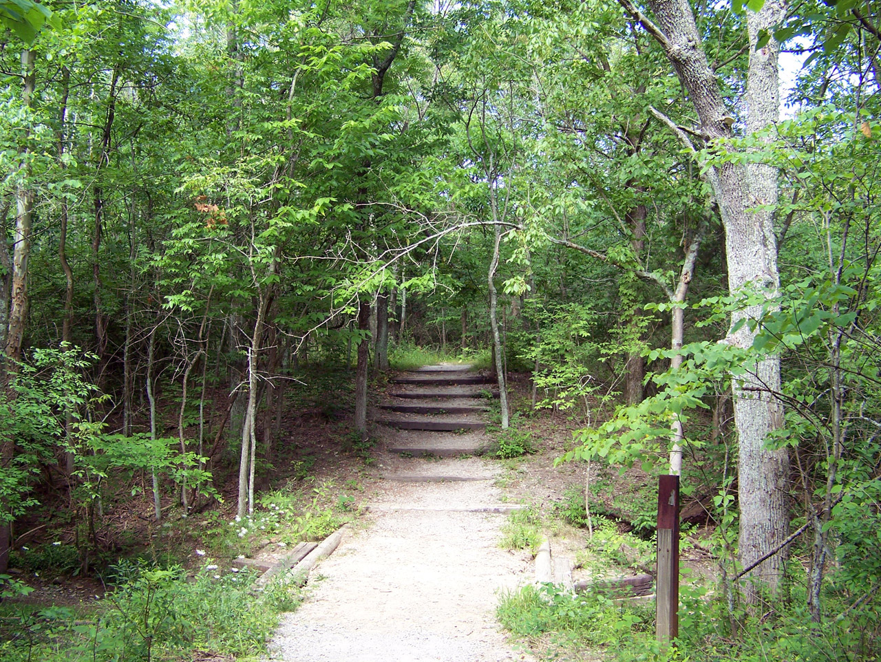 stairs steps path free photo