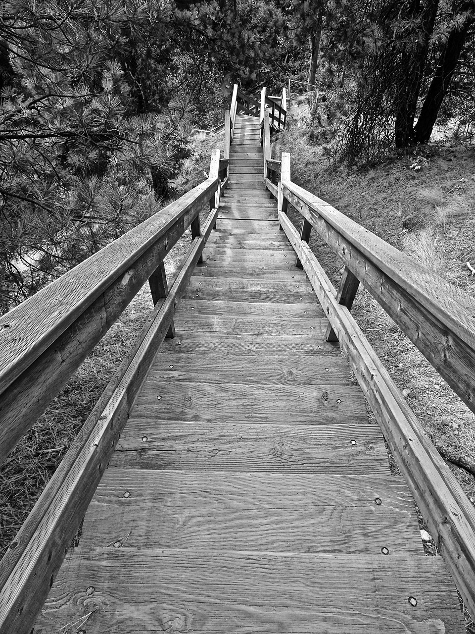 stairway wooden perspective free photo