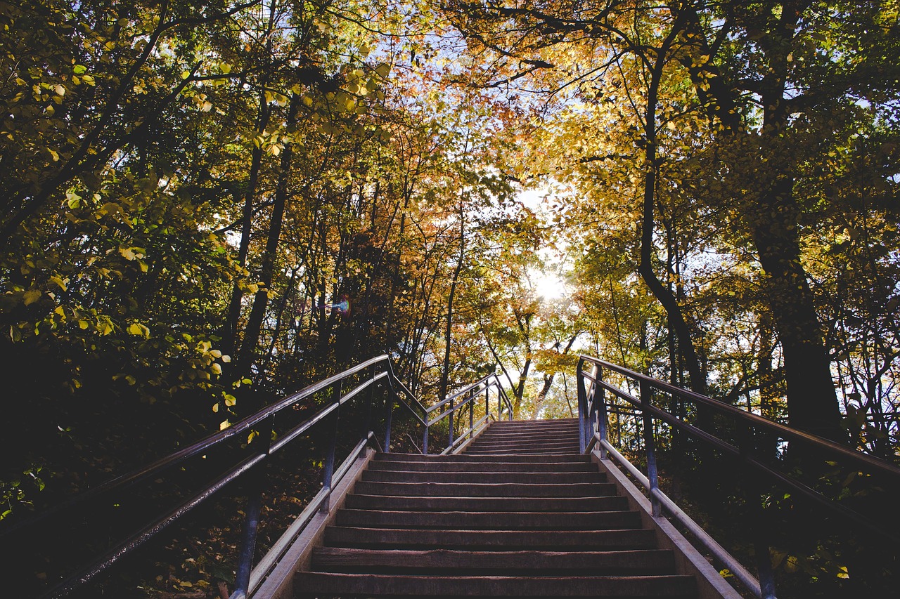 stairway stairs steel free photo