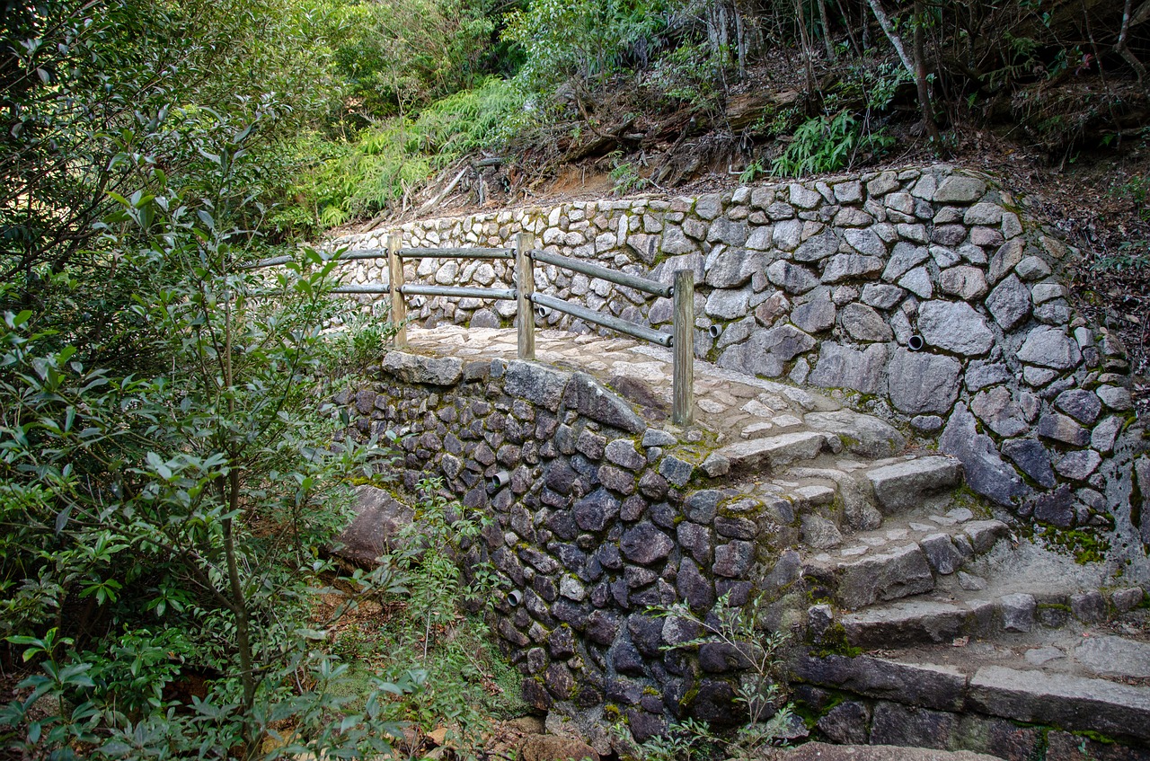 stairway  stairs  steps free photo