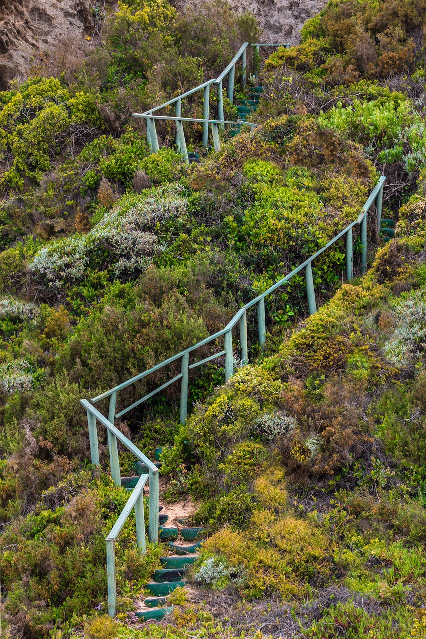 stairway  handrails  steps free photo