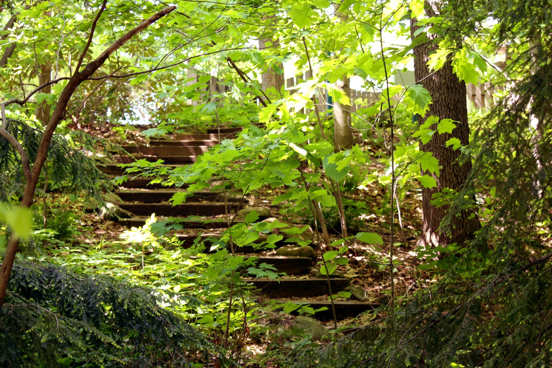 stairs stairway outdoors free photo