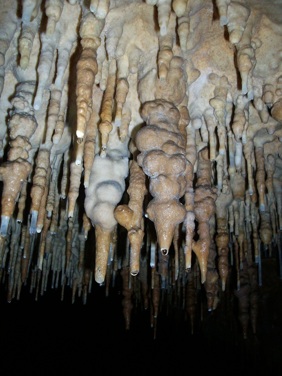 stalactites cave ceiling cave free photo