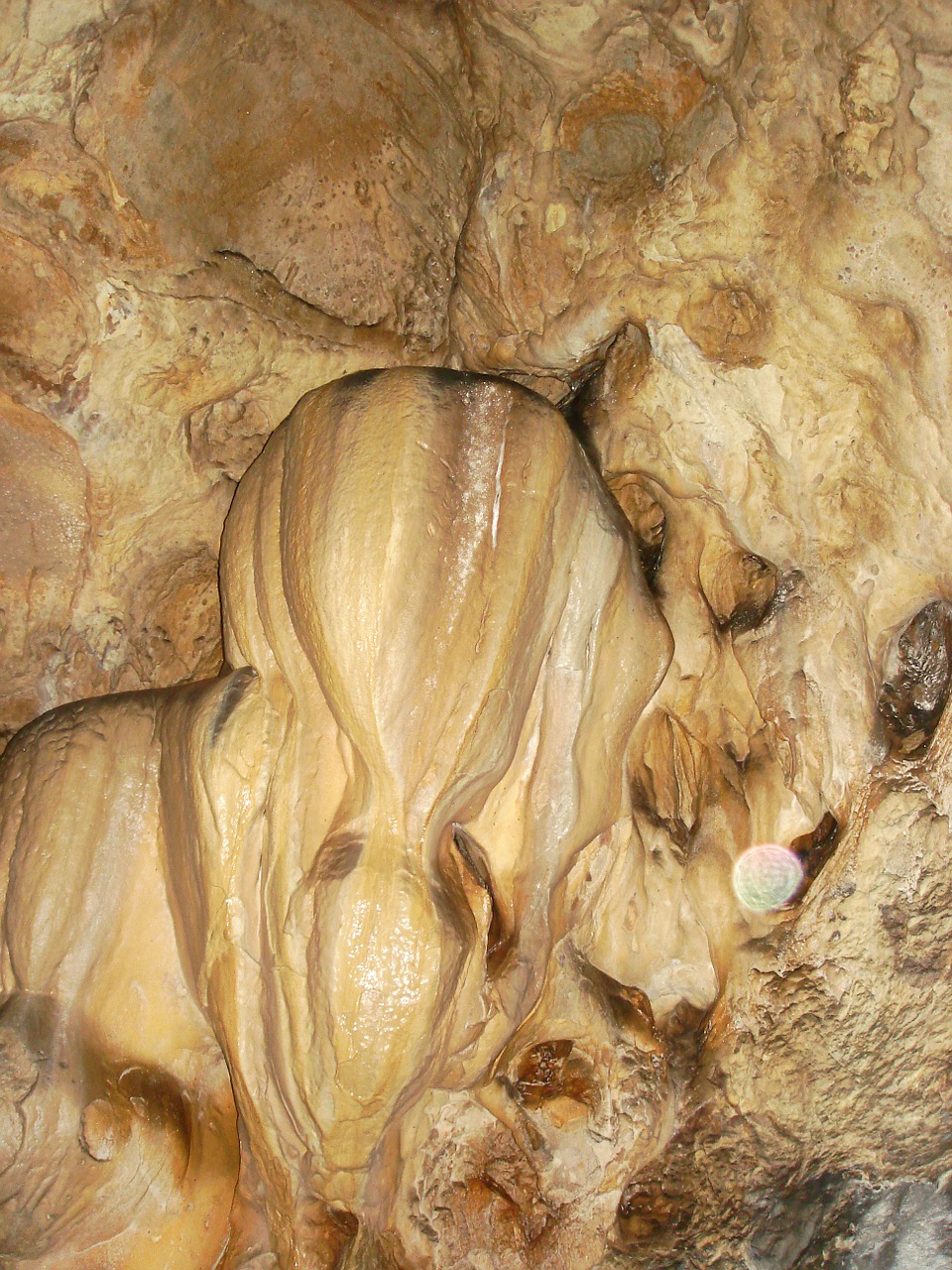 stalagmite cave limestone free photo