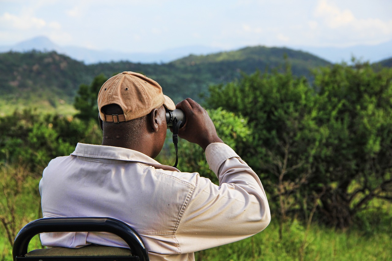 stalk africa binoculars free photo
