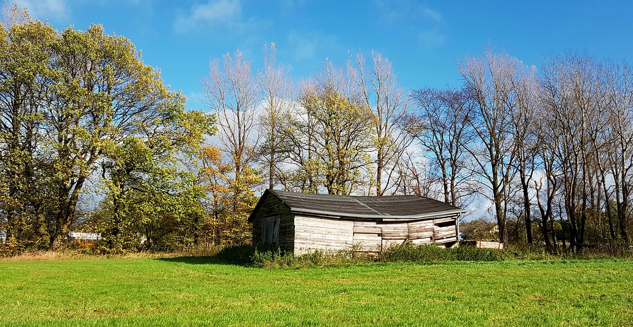 stall vacation scale free photo