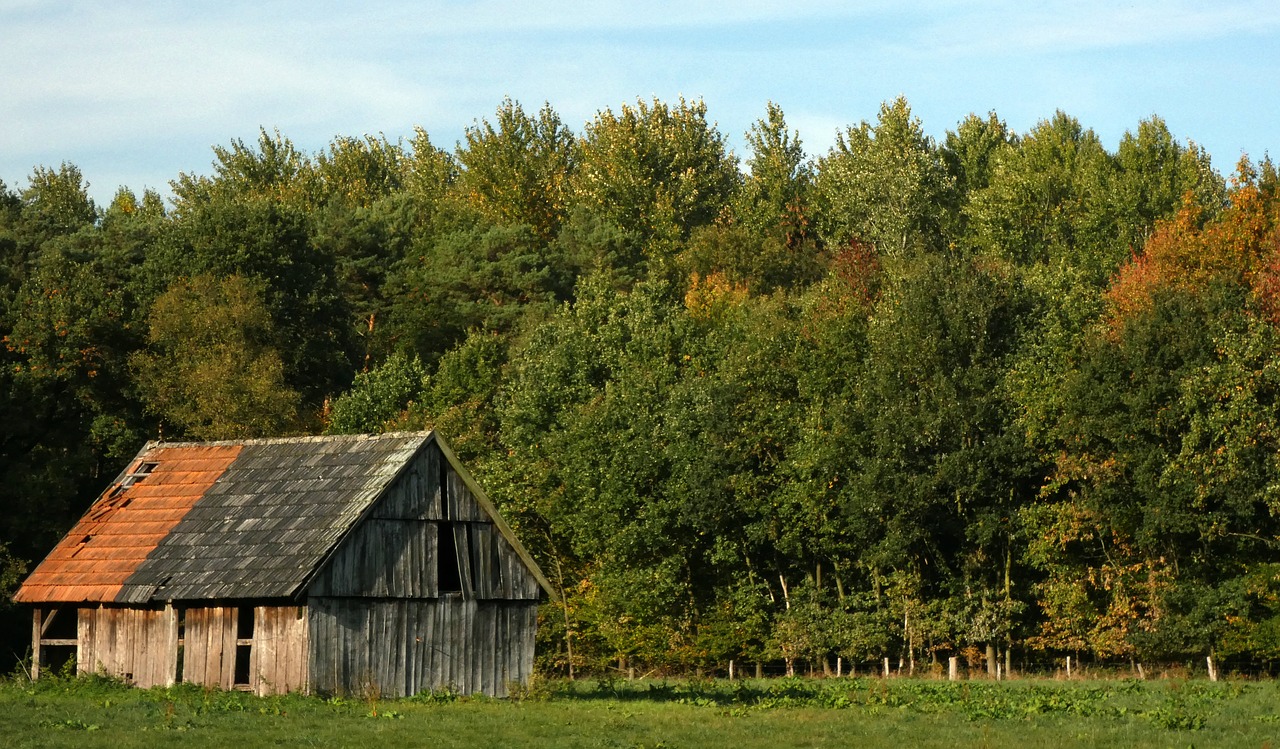 stall  hut  crate free photo