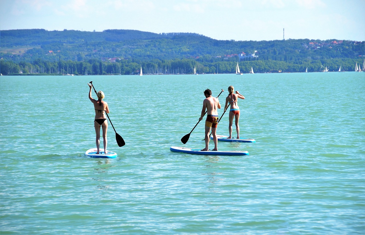 stand up paddle sup water sport free photo