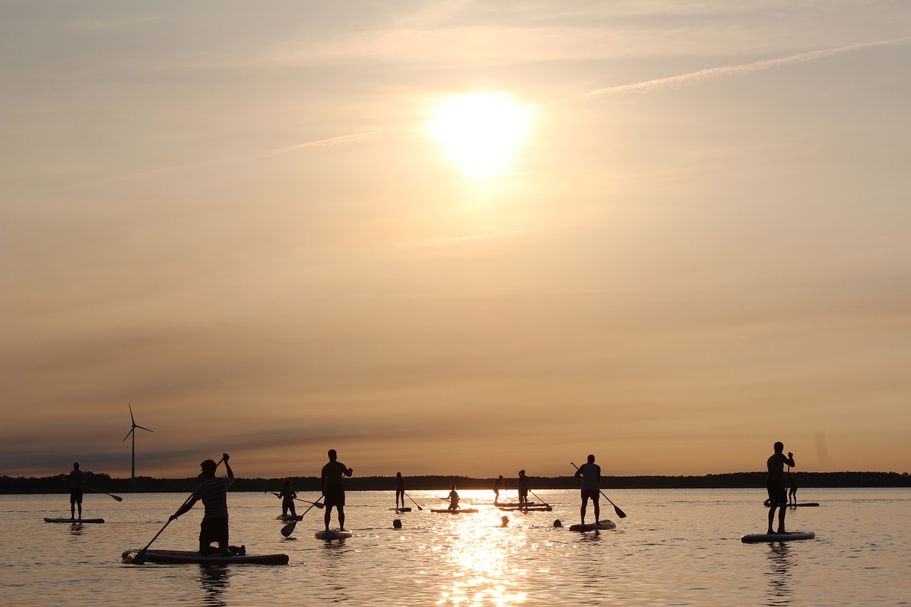 stand up paddle paddle sunset free photo