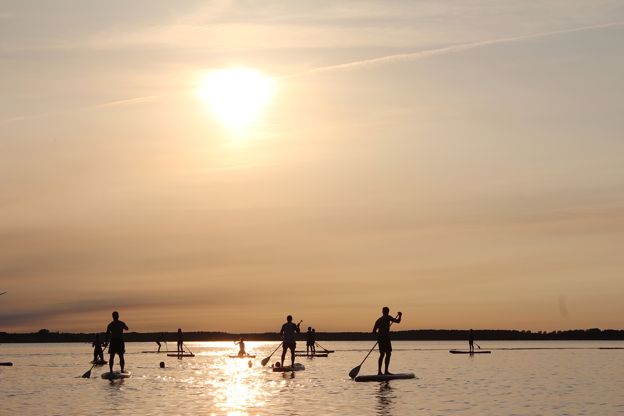 stand up paddle paddle sunset free photo