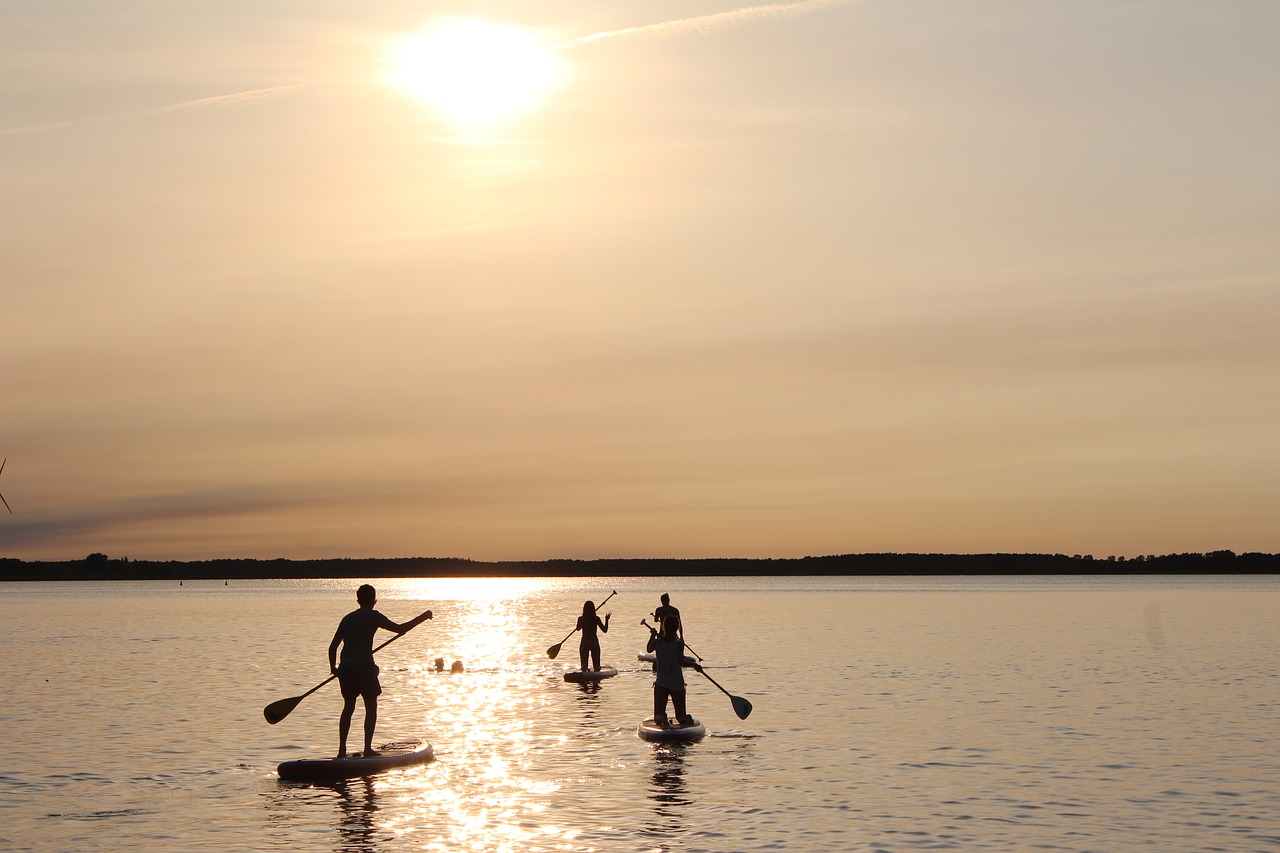 stand up paddle paddle sunset free photo