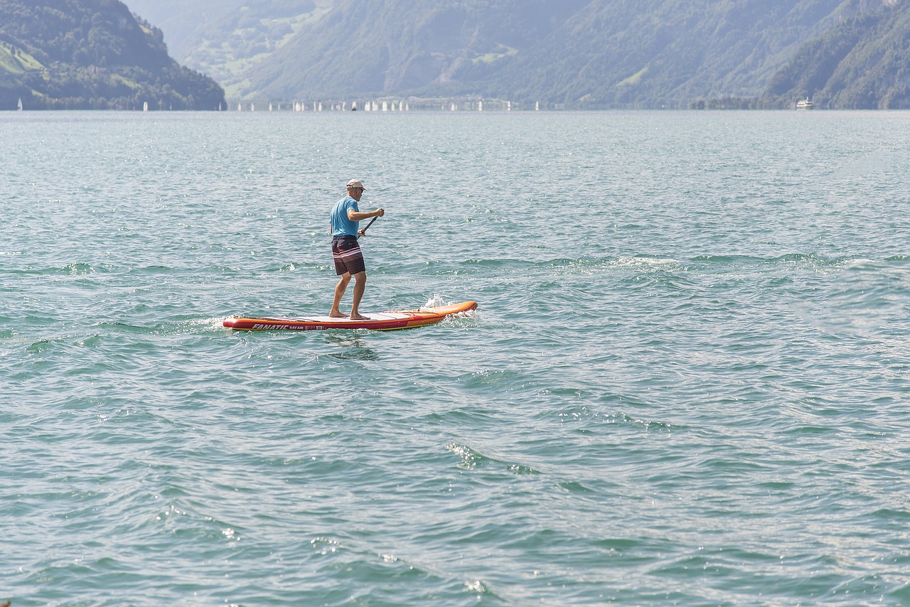 stand up paddle  water sports  paddle free photo