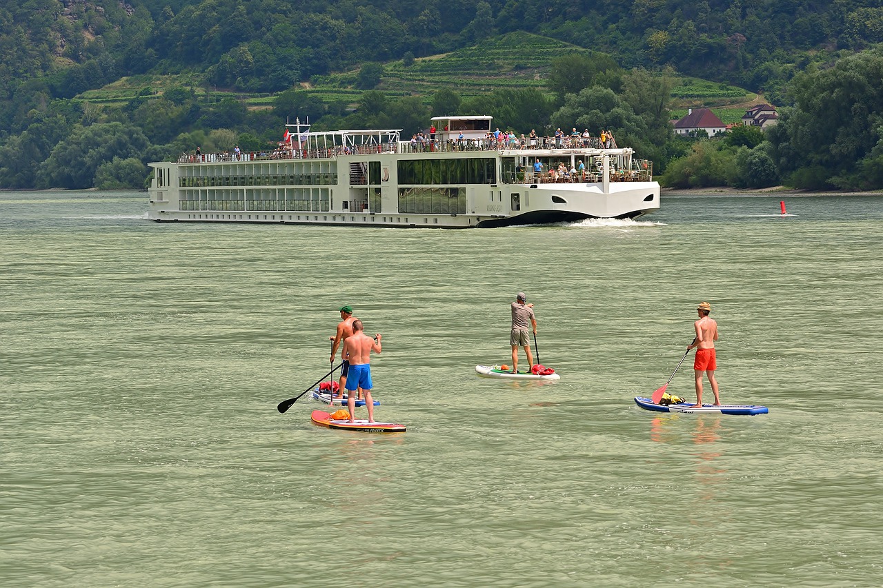 stand up paddle  danube  driving cruise ship free photo