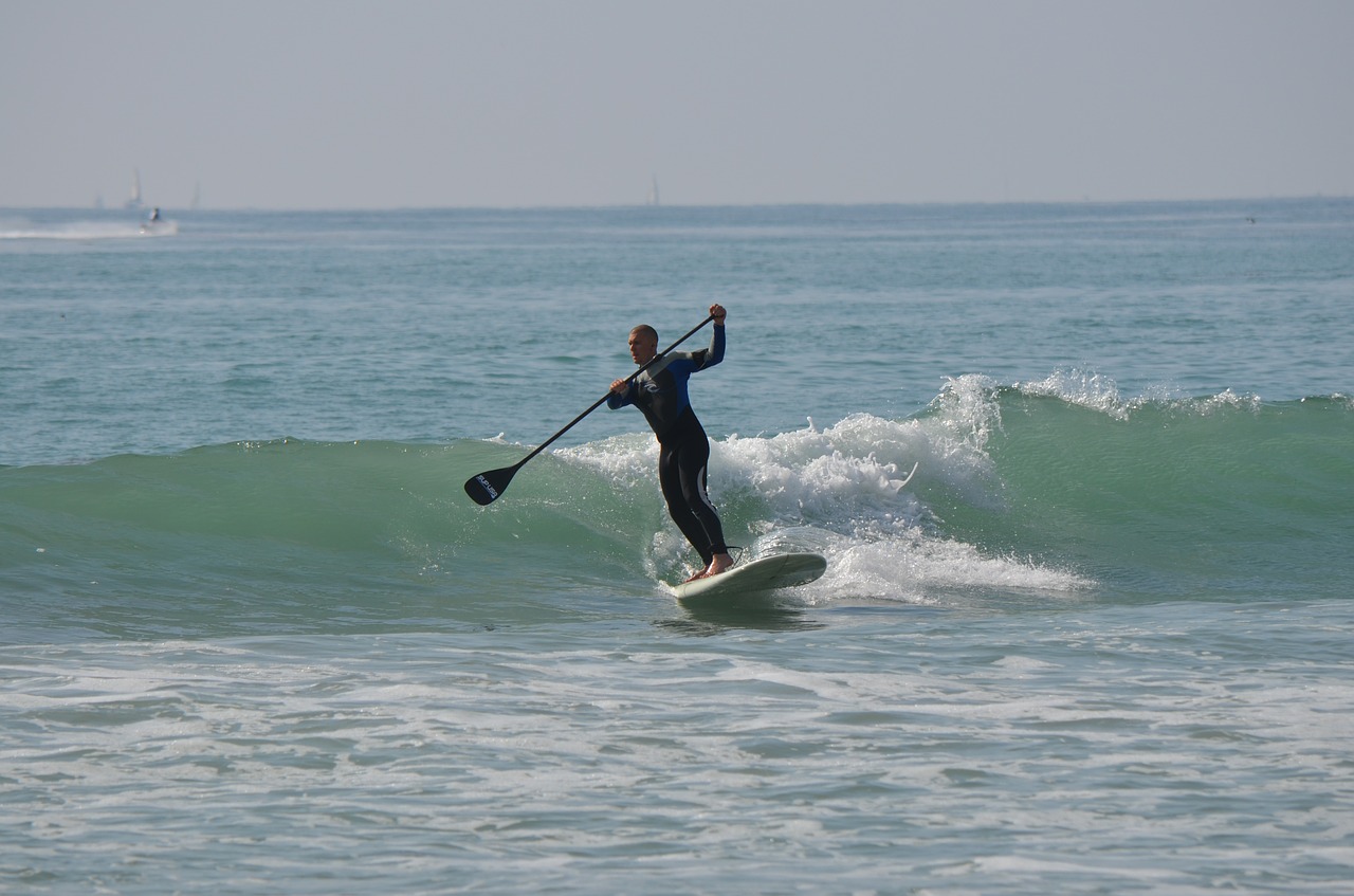 stand up paddle surfing standup paddleboarding man free photo