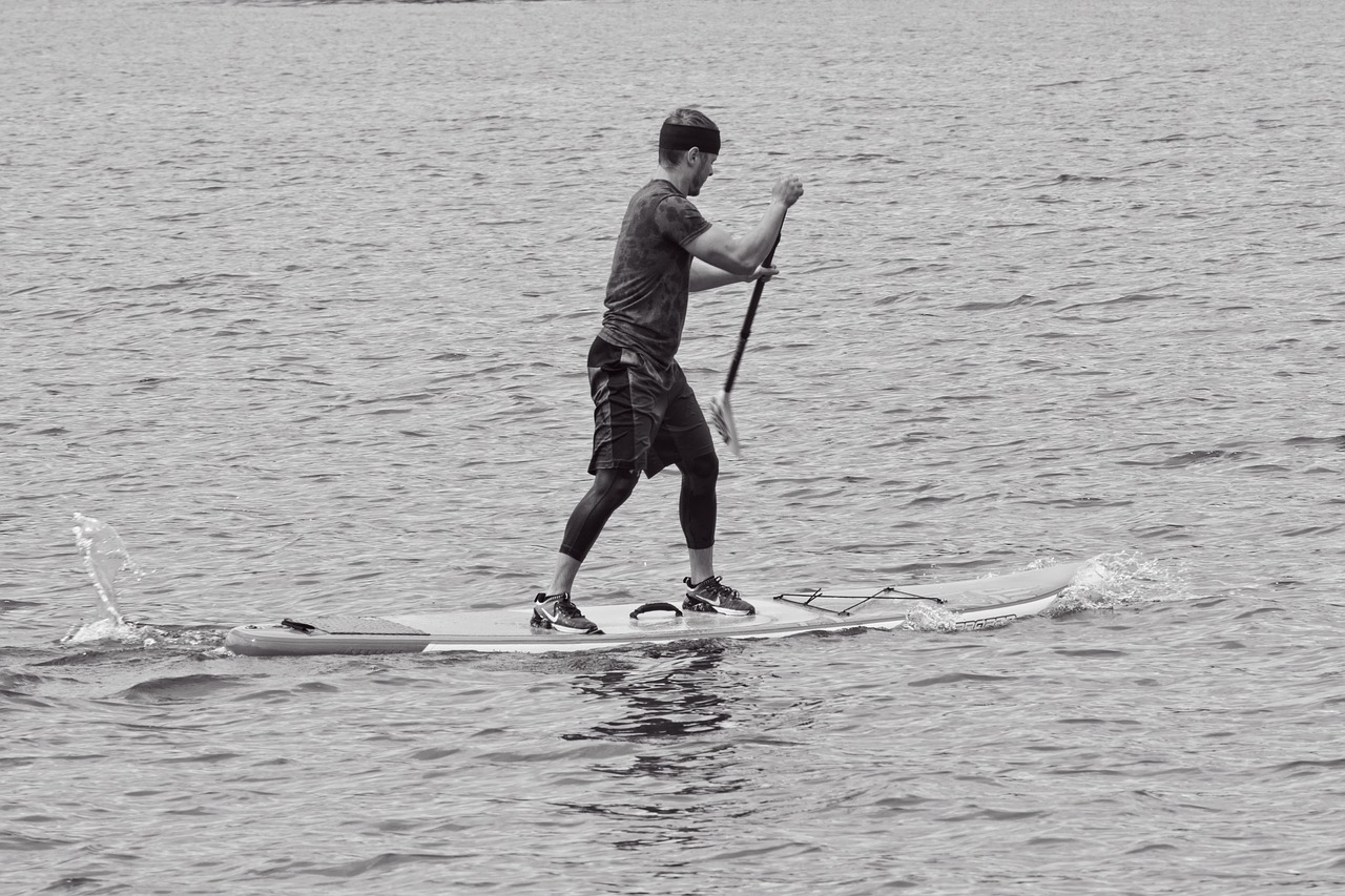 stand up paddling  paddling  water sports free photo