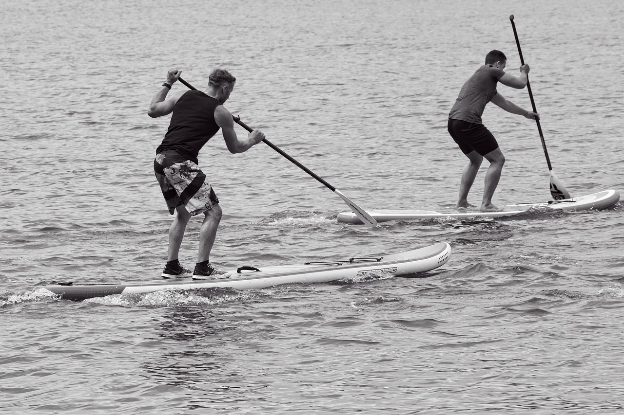 stand up paddling  paddling  water sports free photo