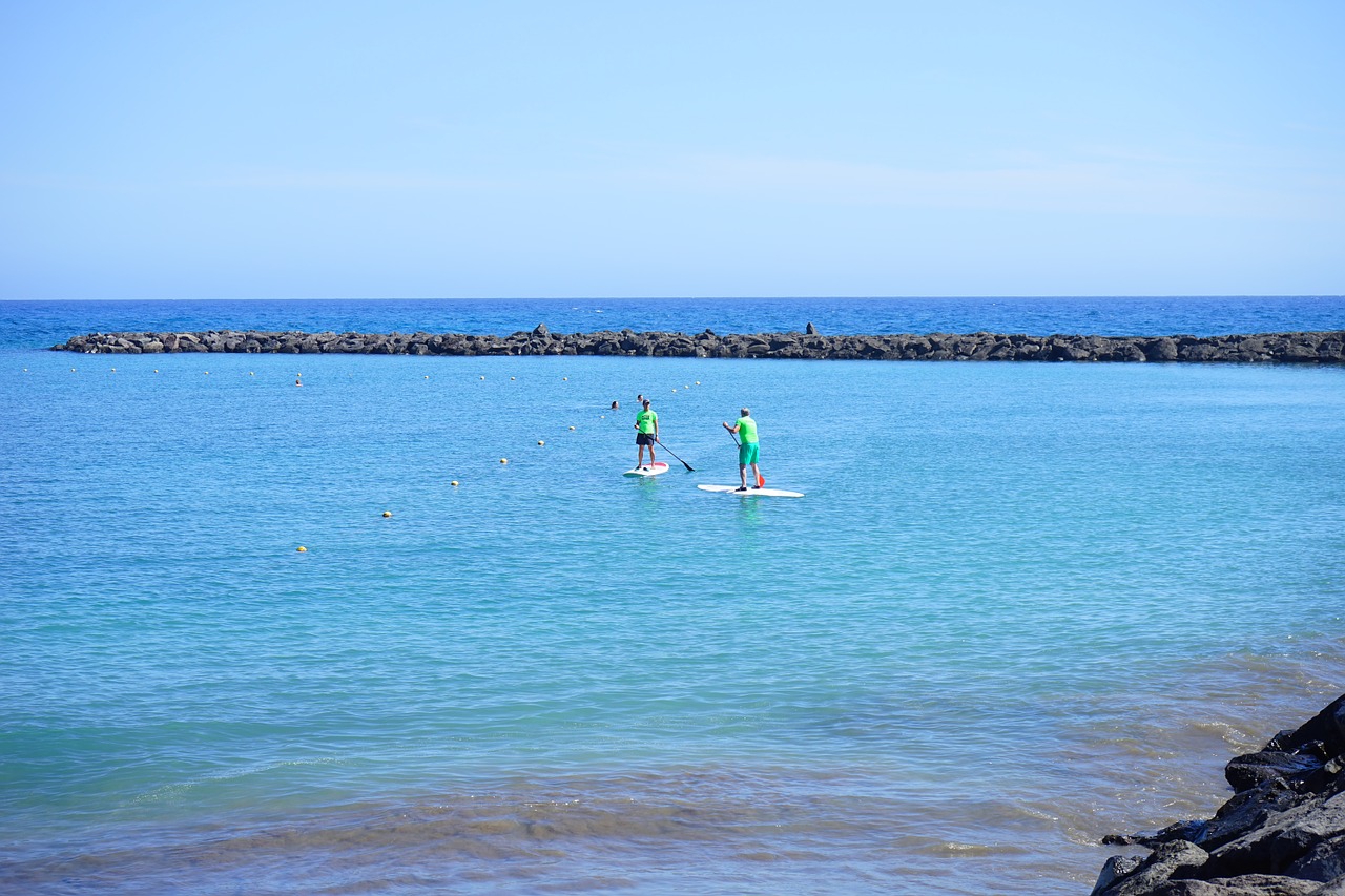 stand up paddling stand paddle sup free photo