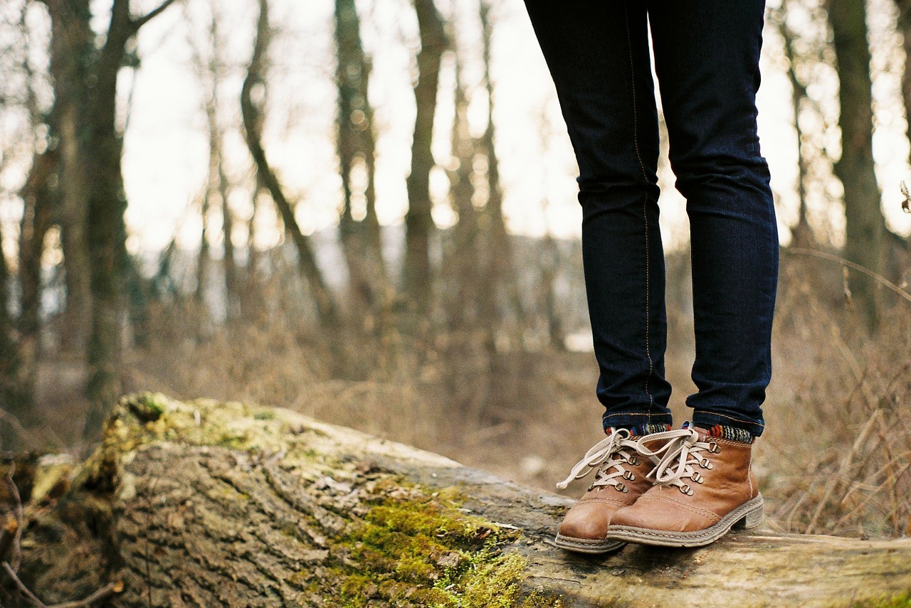 standing forest legs free photo