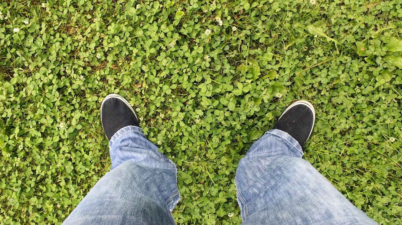 standing on the grass jeans clover free photo