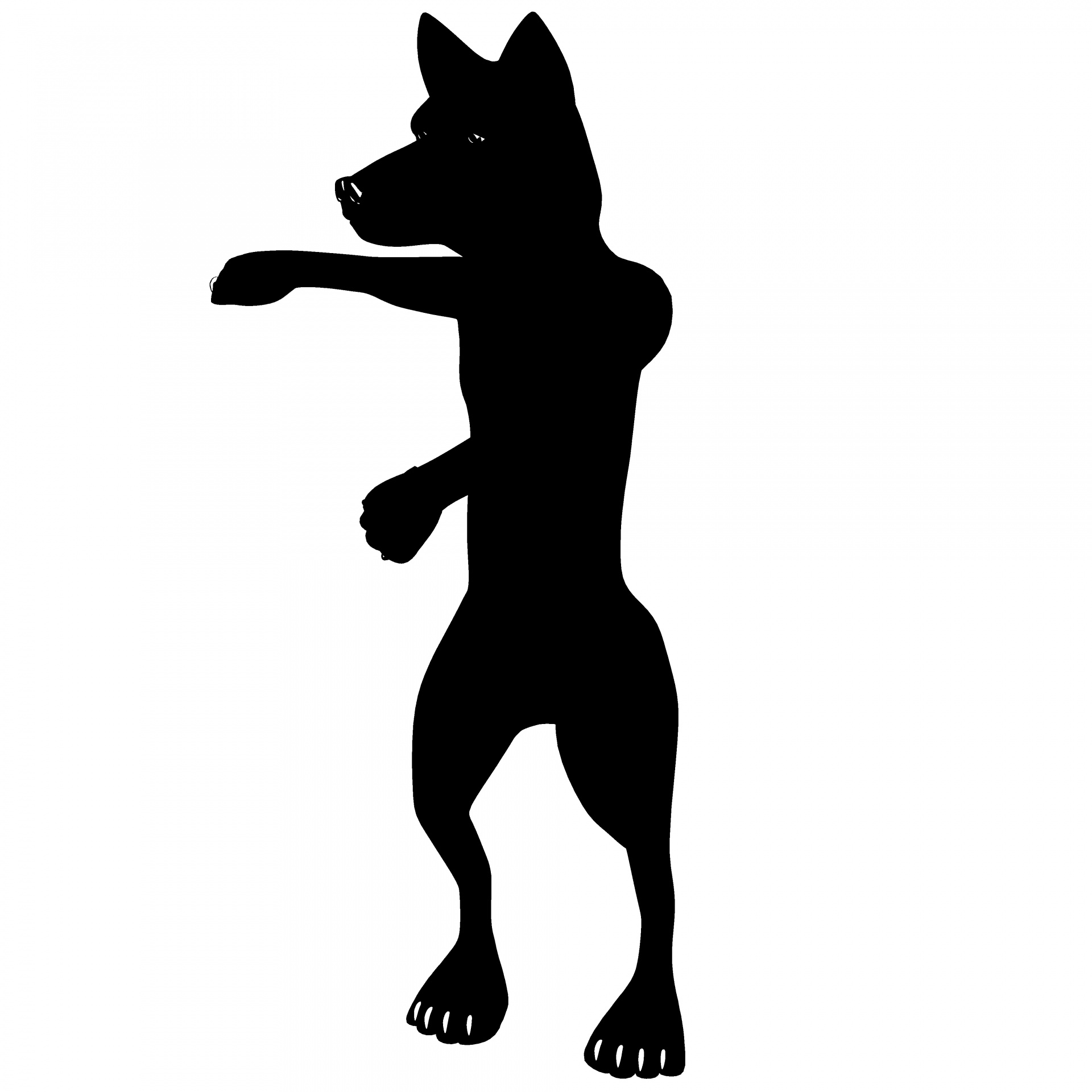 silhouette standing wolf free photo