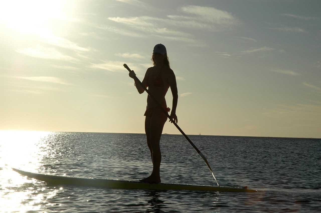 standup paddle board sunset free photo