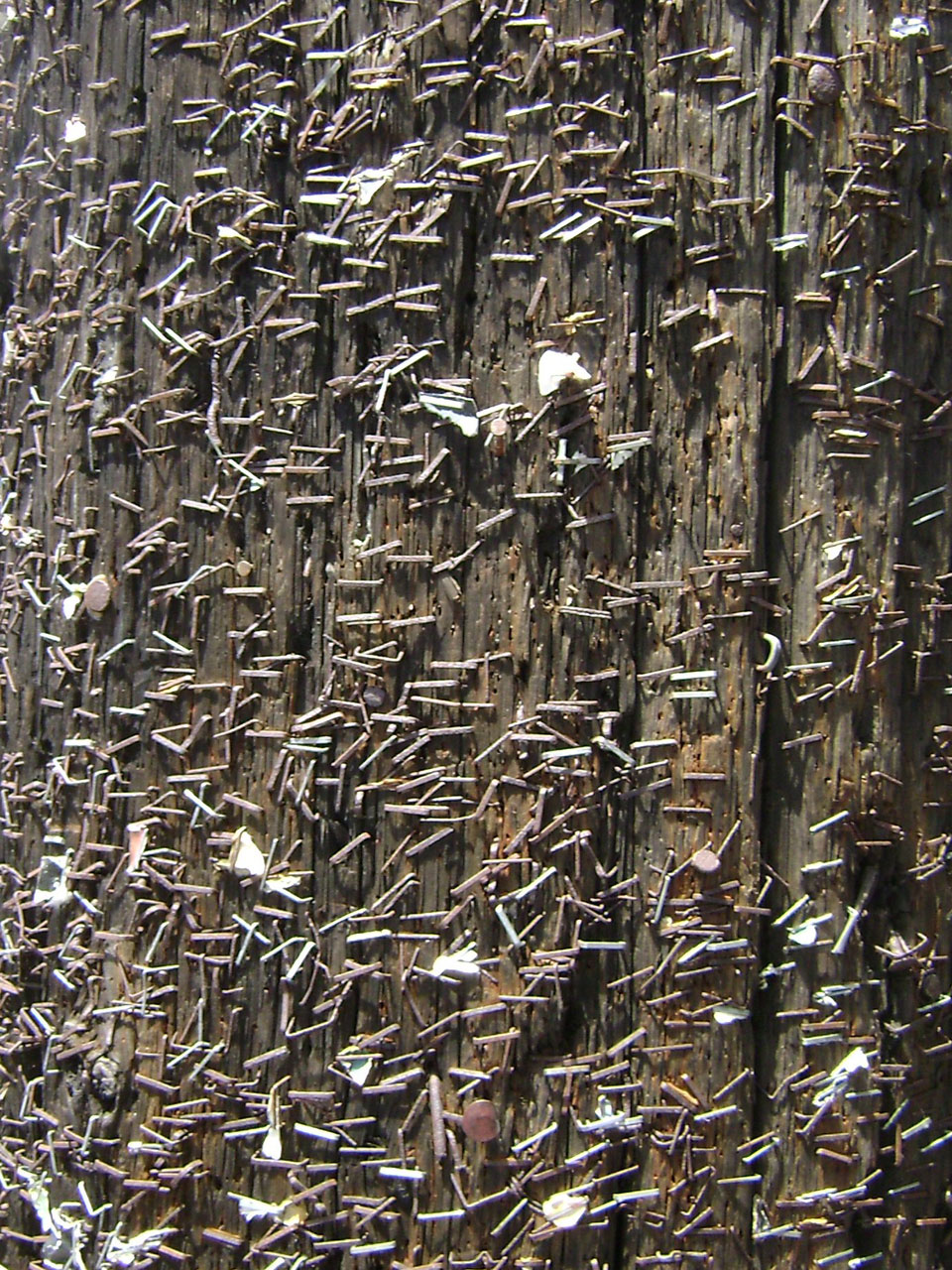 staples wood background free photo