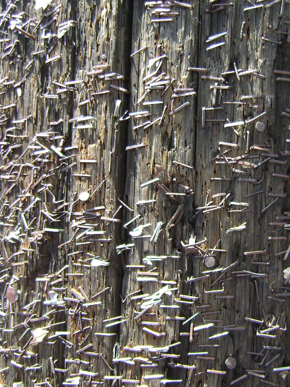 staples pole wood free photo