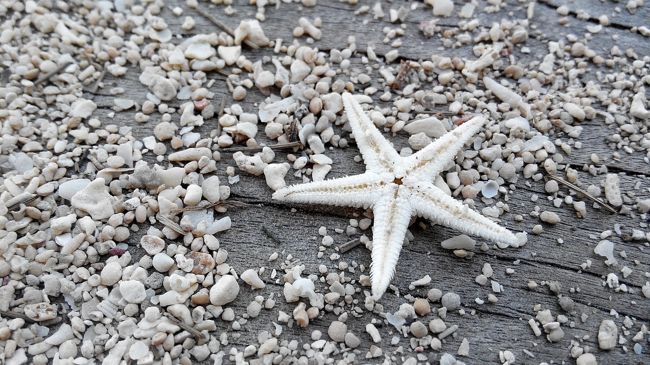 star sand beach free photo