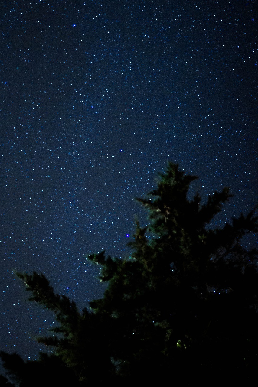 star estrellano sky night free photo