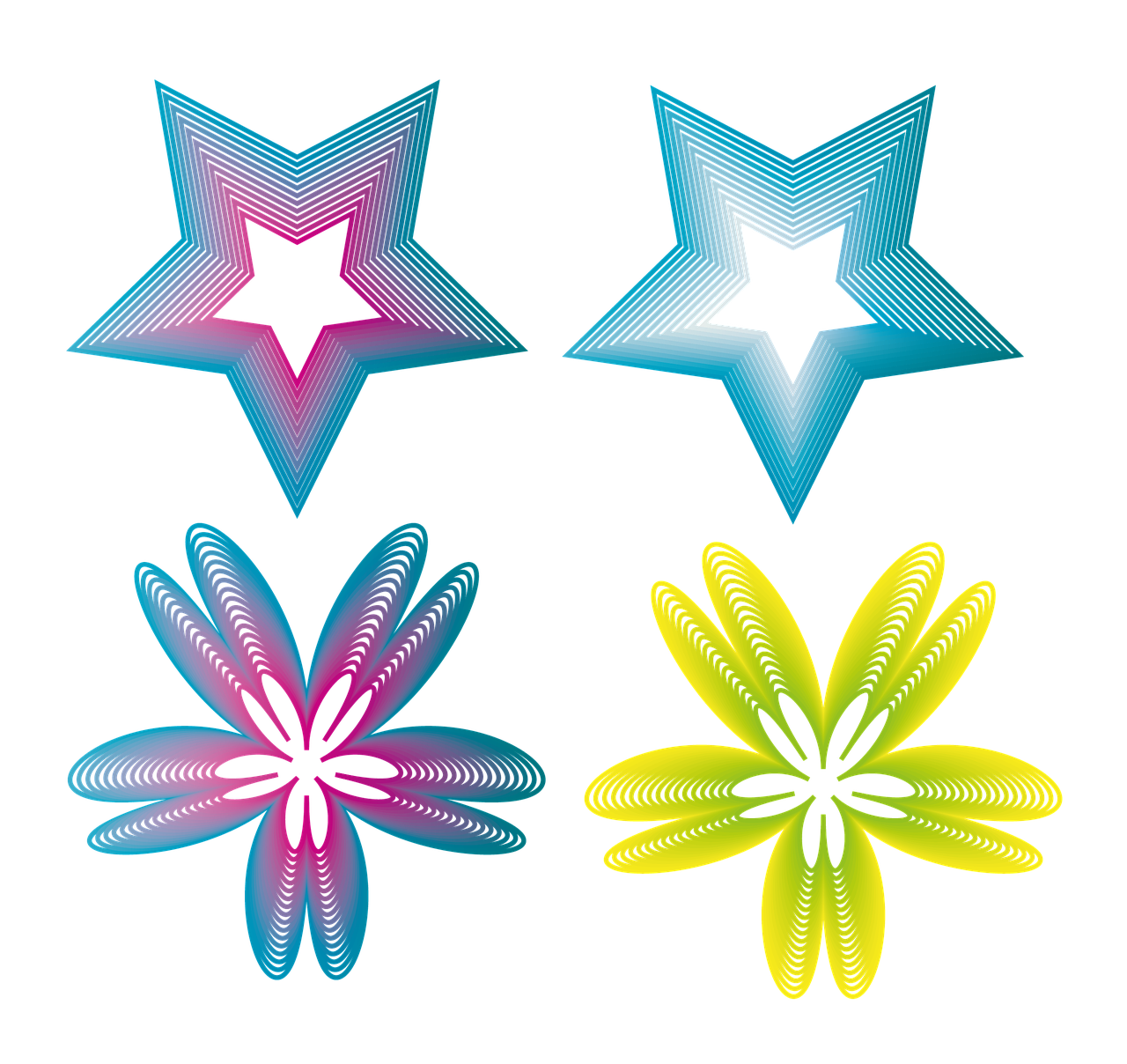 star flower graphic free photo