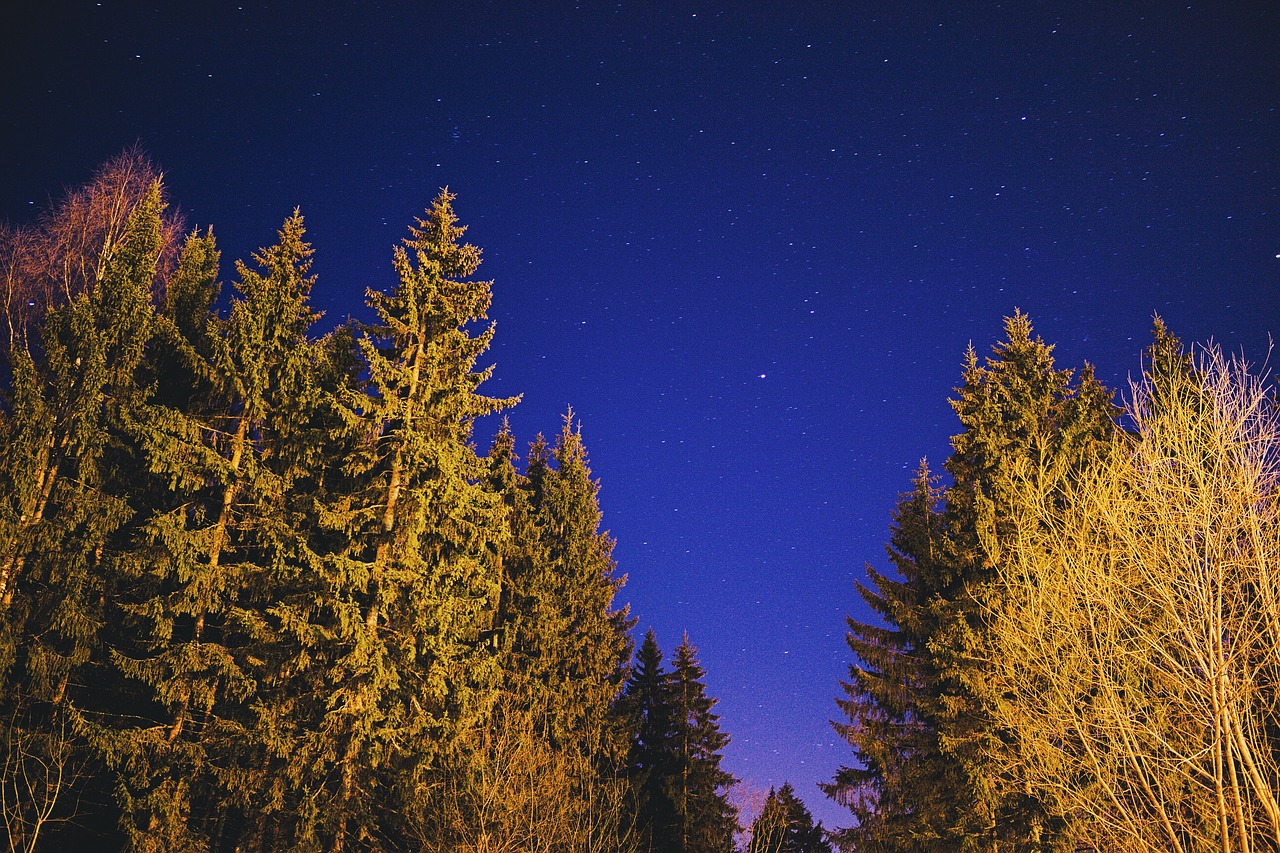 star night sky landscape free photo