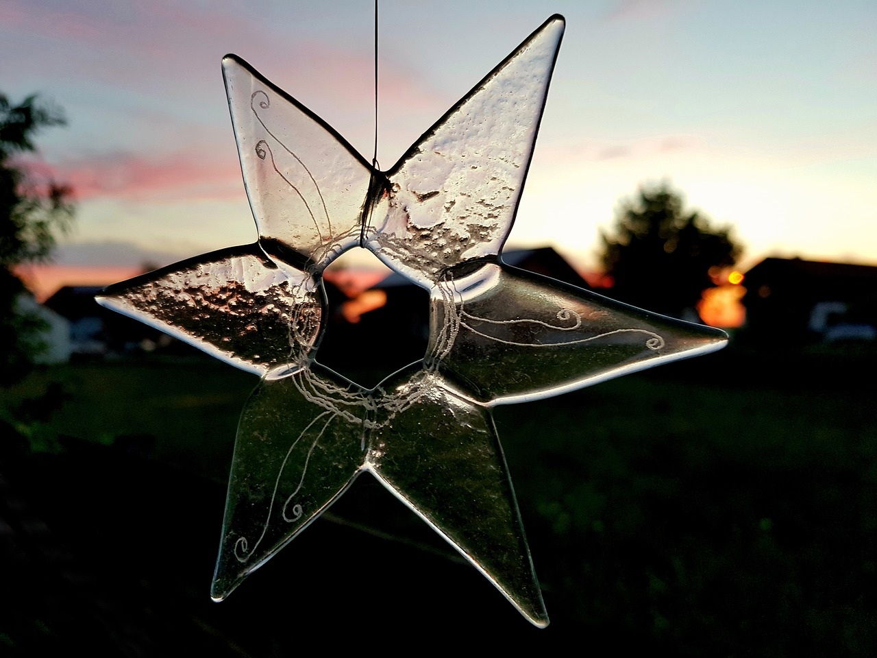 star  flower  glass free photo