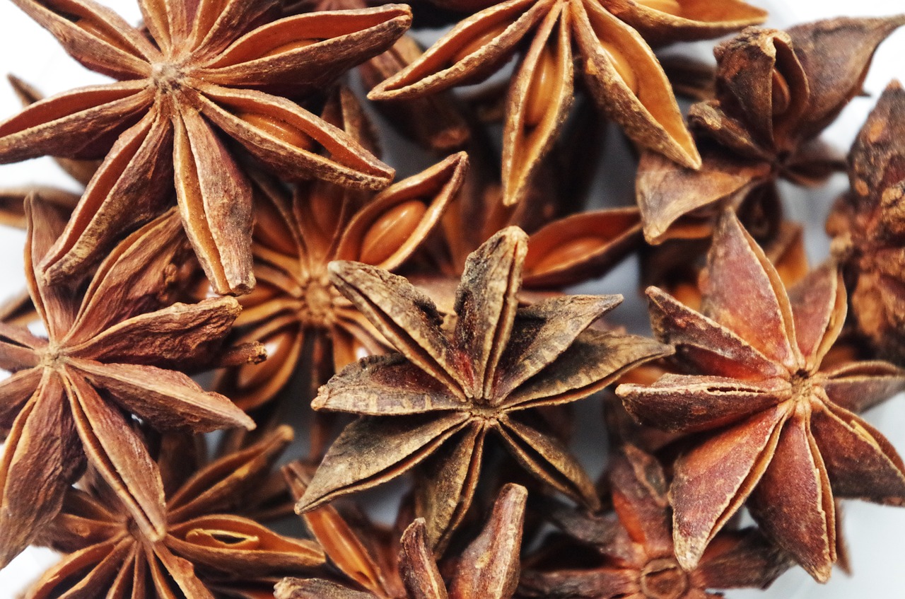 star anise pepper fragrant free photo