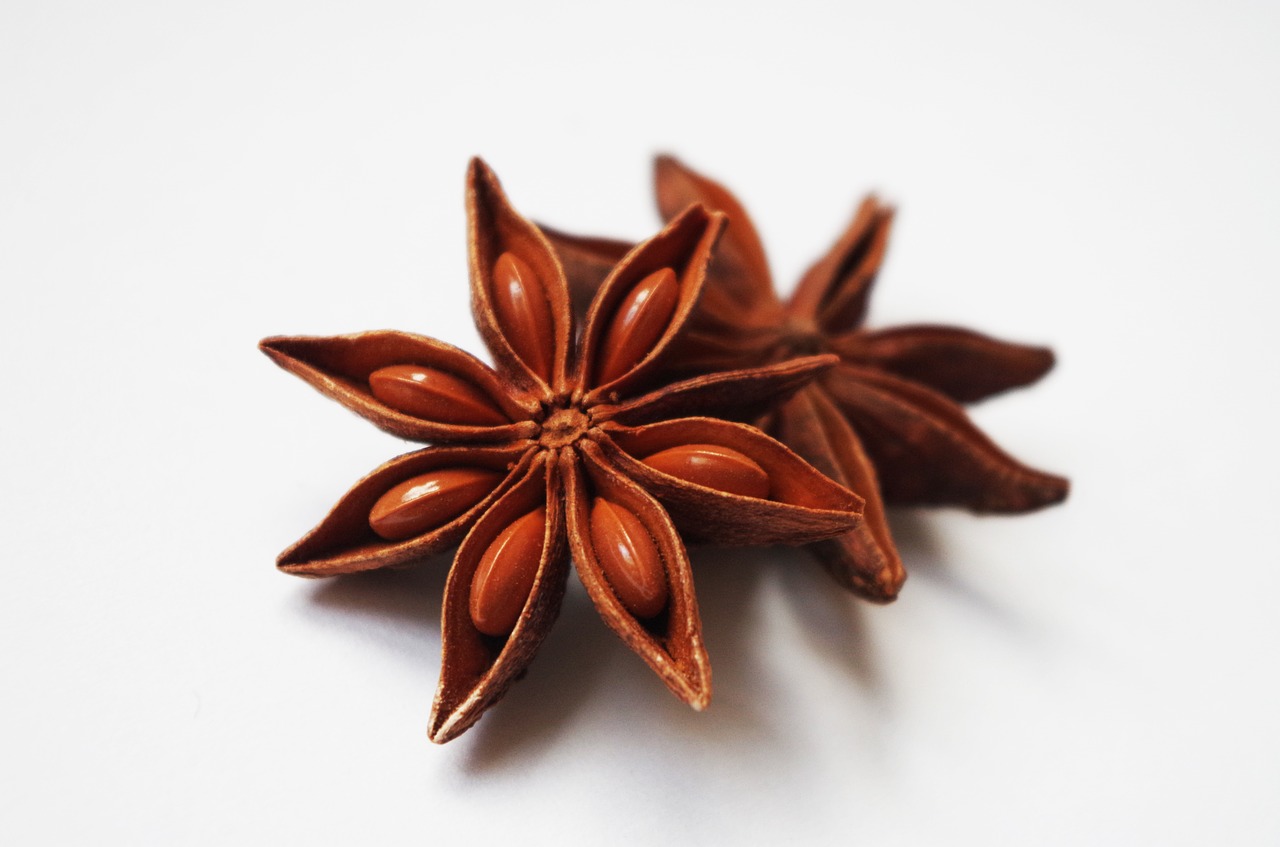 star anise pepper fragrant free photo