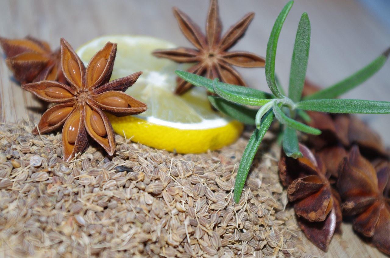 star anise anise rosemary free photo