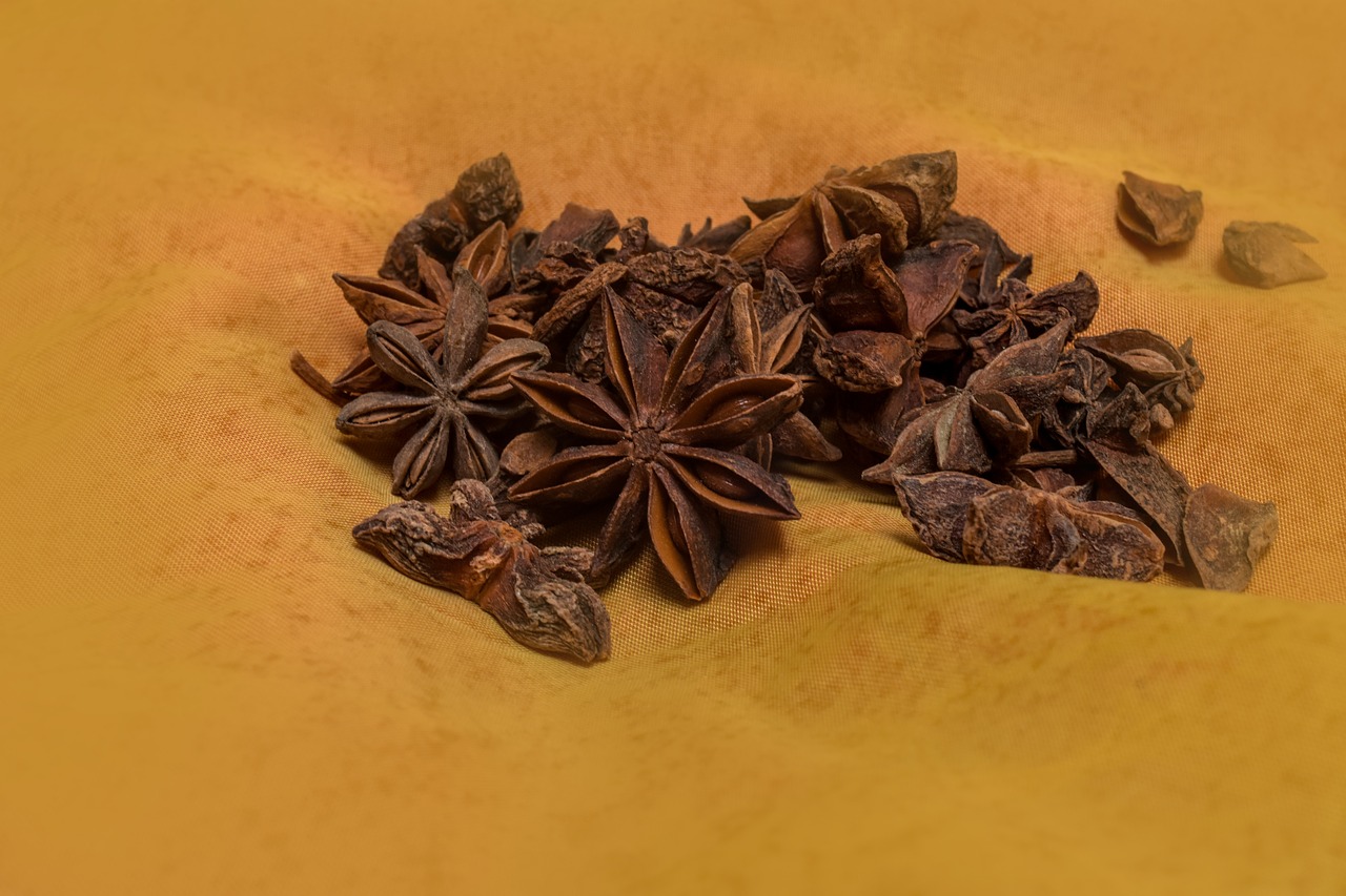 star anise  condiments  anise free photo